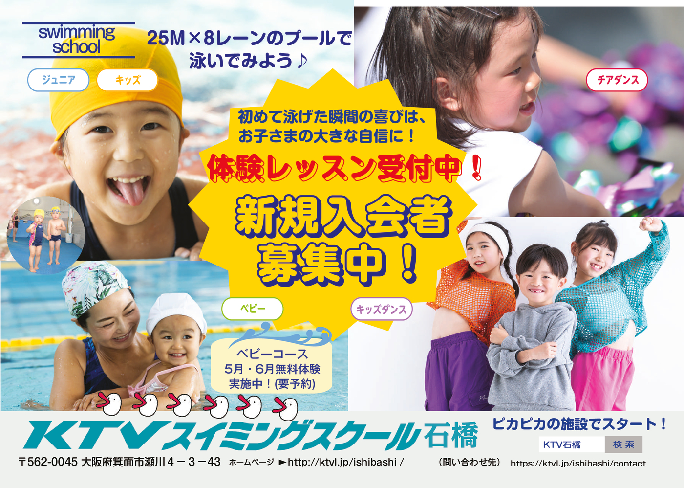 ishibashi20260508ssのサムネイル